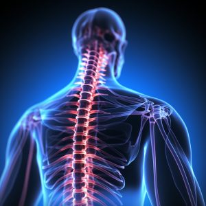 Endoscopic Spine Surgery in Chennai